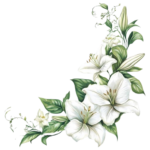 77f5bfe43b283af3318146f7c022f0dc removebg preview